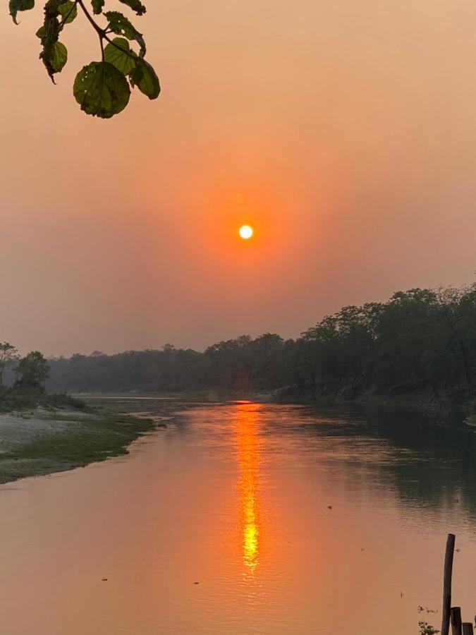 Happy Lemon Tree Lodge Sauraha Exterior photo