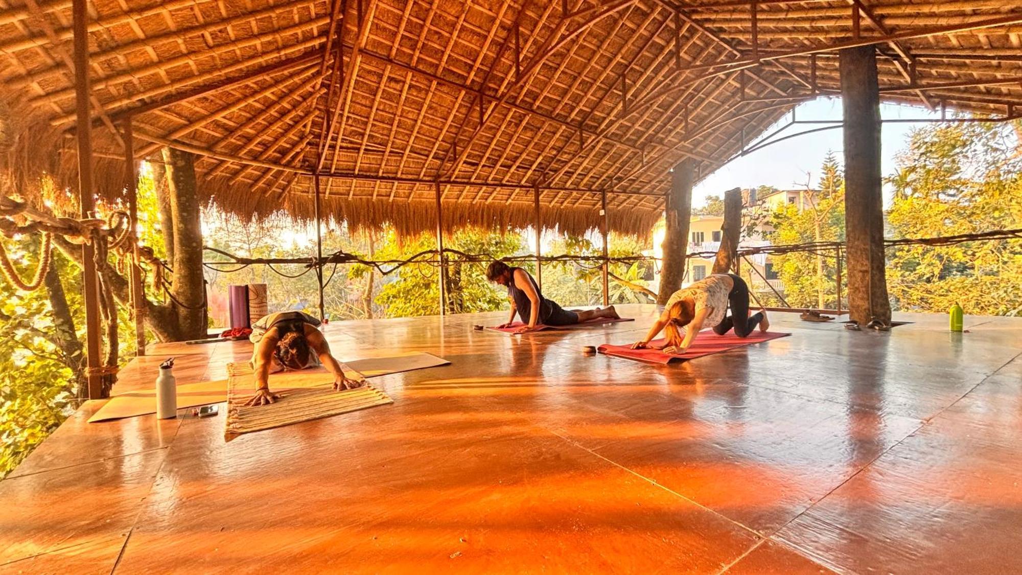 Happy Lemon Tree Lodge Sauraha Exterior photo